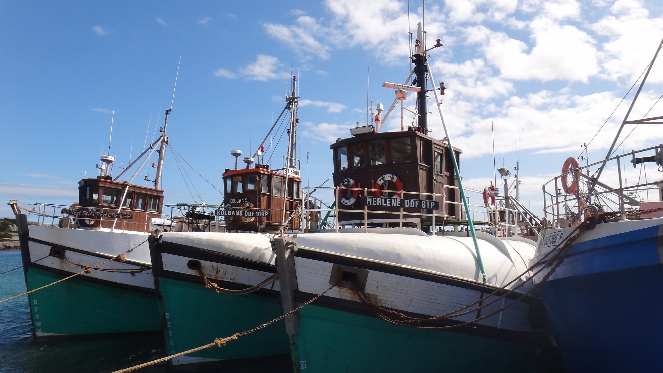 a small fishing town with a great white heart - gansbaai